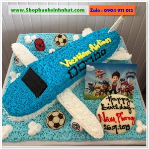 Bánh Sinh Nhật Máy Bay - MA46